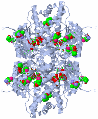 Image Biol. Unit 1 - sites