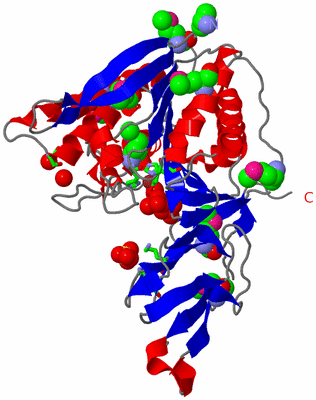 Image Asym. Unit - sites