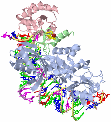 Image Asym./Biol. Unit