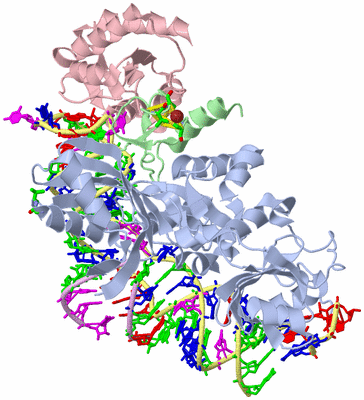 Image Asym./Biol. Unit - sites