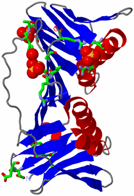 Image Asym. Unit - sites