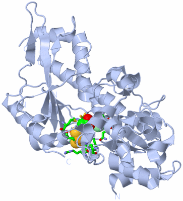 Image Biol. Unit 1 - sites