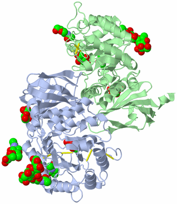 Image Asym./Biol. Unit