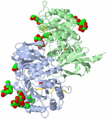 Image Asym./Biol. Unit