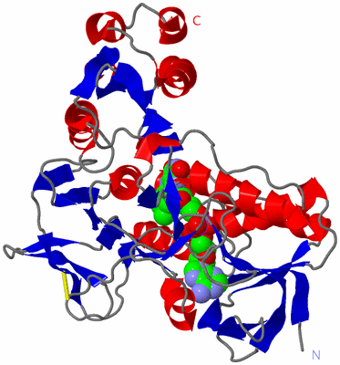 Image Asym./Biol. Unit