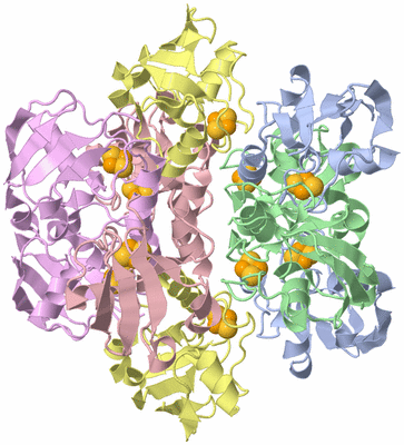 Image Biological Unit 1