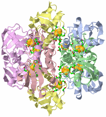 Image Biol. Unit 1 - sites