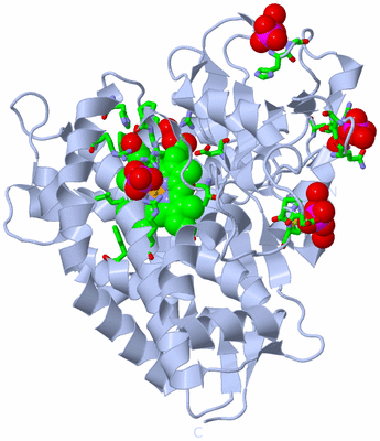 Image Biol. Unit 1 - sites