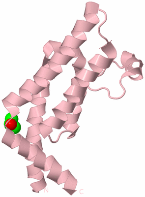 Image Biological Unit 3