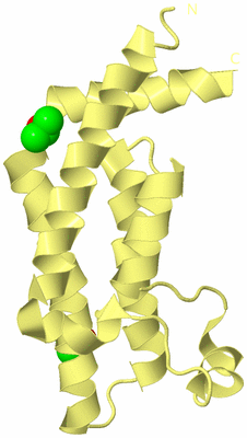 Image Biological Unit 4