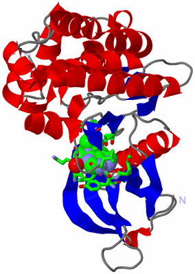 Image Asym./Biol. Unit - sites