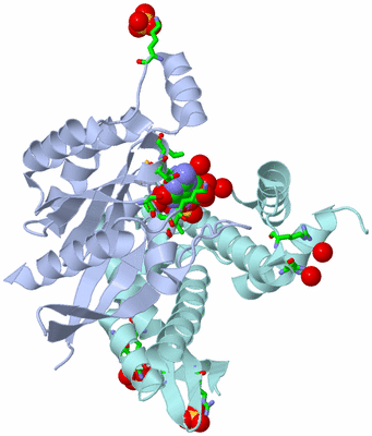 Image Asym./Biol. Unit - sites