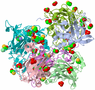 Image Asymmetric Unit