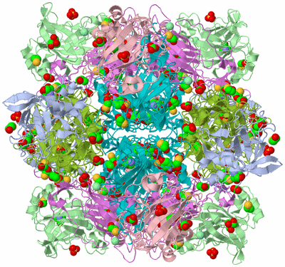 Image Biological Unit 1
