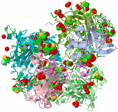 Image Asym. Unit - sites