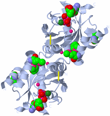 Image Biological Unit 1