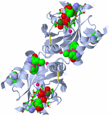 Image Biol. Unit 1 - sites