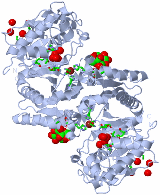 Image Biol. Unit 1 - sites