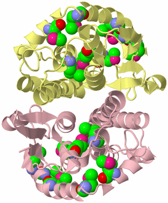 Image Biological Unit 2