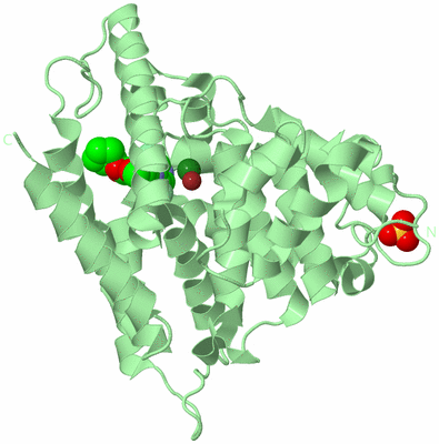 Image Biological Unit 2