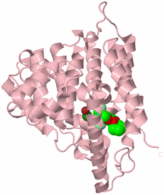 Image Biological Unit 3