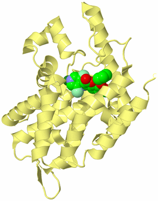 Image Biological Unit 4