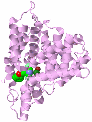 Image Biological Unit 5