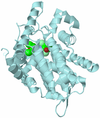 Image Biological Unit 6