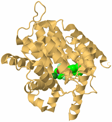 Image Biological Unit 7