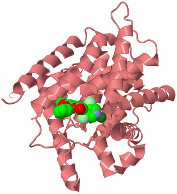 Image Biological Unit 8