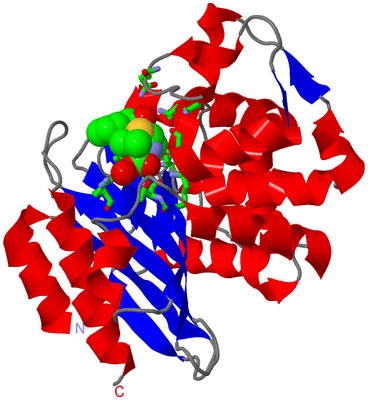 Image Asym./Biol. Unit - sites