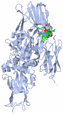 Image Biol. Unit 1 - sites