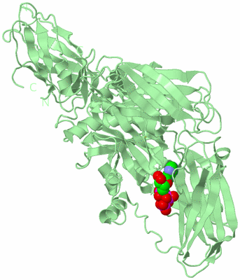 Image Biological Unit 2