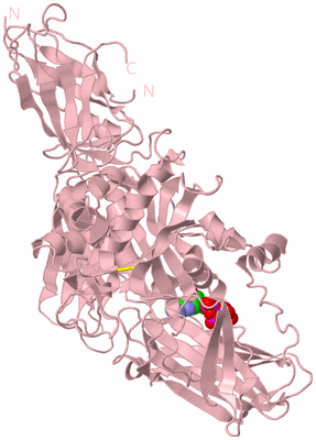 Image Biological Unit 3