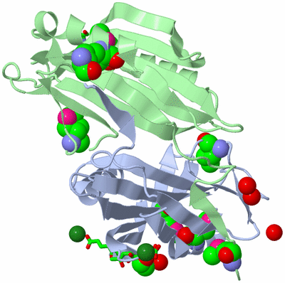 Image Asym./Biol. Unit - sites