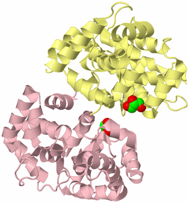 Image Biological Unit 2