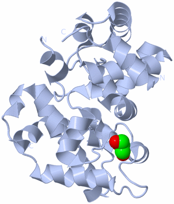 Image Biological Unit 3