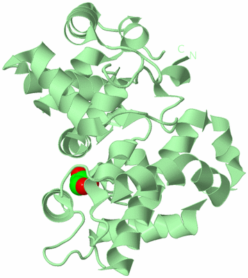 Image Biological Unit 4