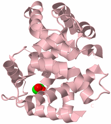 Image Biological Unit 5