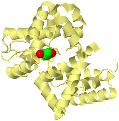 Image Biological Unit 6