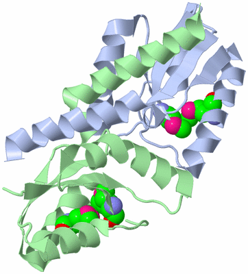 Image Asym./Biol. Unit