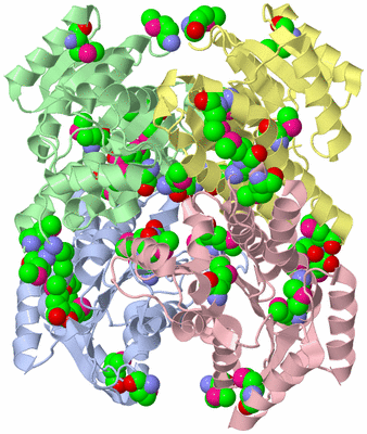 Image Asym./Biol. Unit