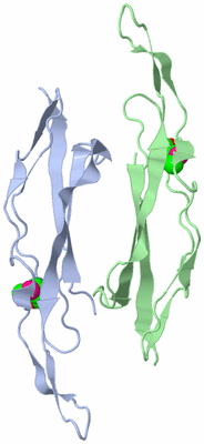 Image Asymmetric Unit