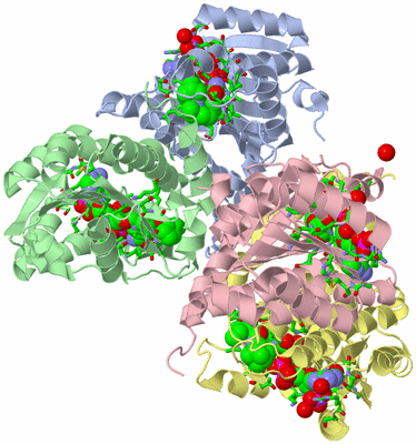 Image Asym./Biol. Unit - sites