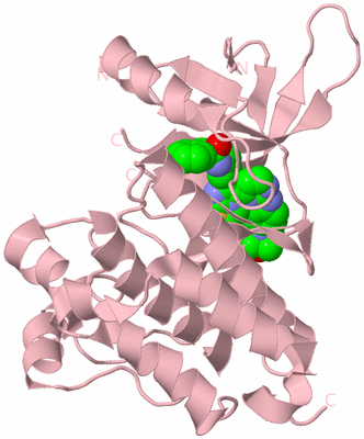 Image Biological Unit 3