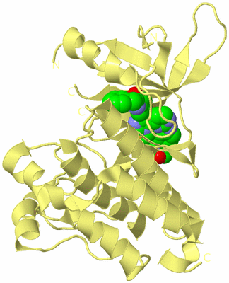 Image Biological Unit 4