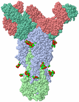 Image Biological Unit 1