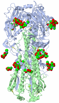 Image Biological Unit 2