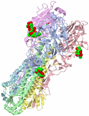 Image Biological Unit 1