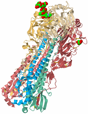 Image Biological Unit 2